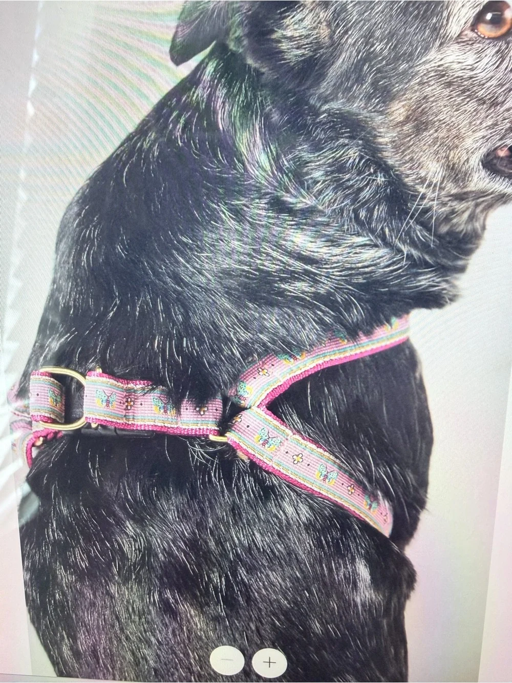 Pink Bistro Tile Dog Harness - Adjustable, size Medium